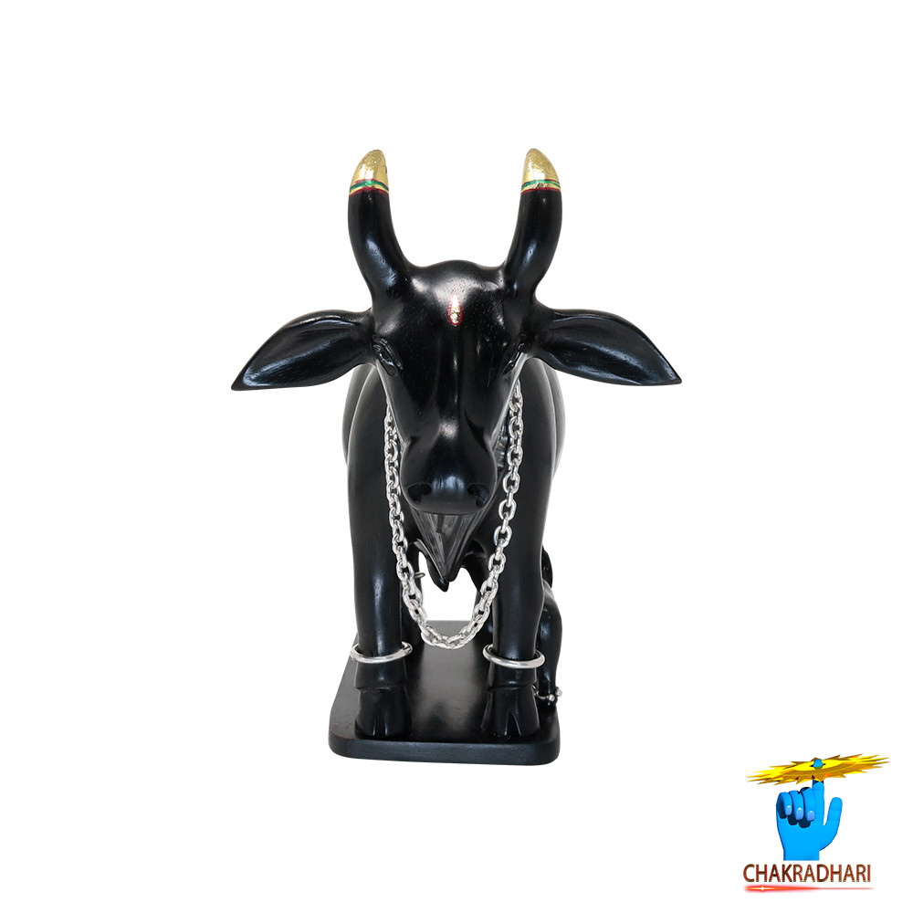 Ebony Divine Shubhda Vatsal  Cow-      