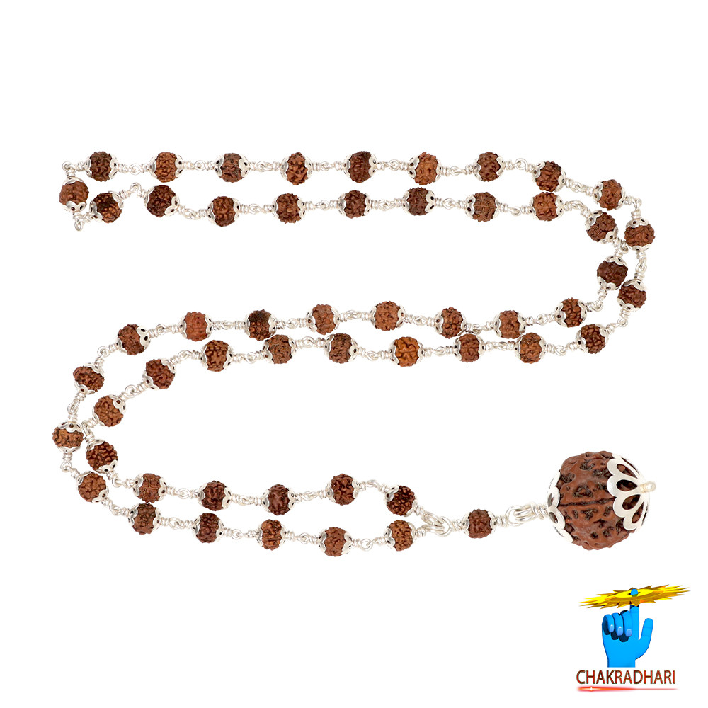 Rudraksha Mala In Silver Cap Wearing 541 beads 541
