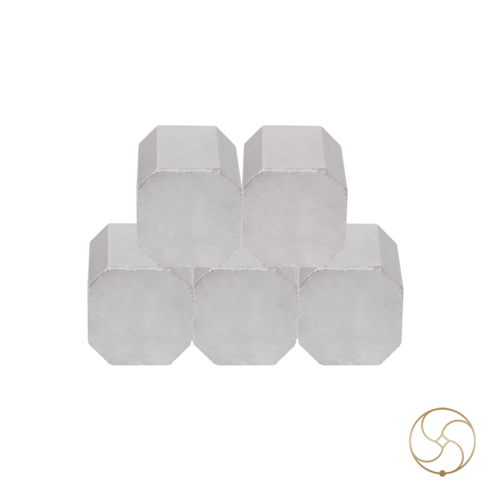999 Silver AstroVastu Bricks Set 100gm