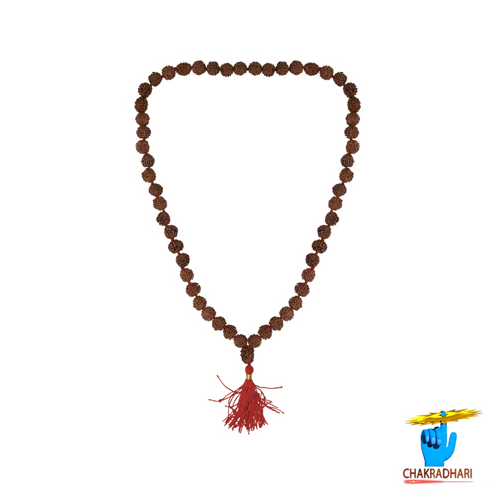 5 Mukhi Rudraksha Mala 54 Plus 1 Beads 11-12mm       - 