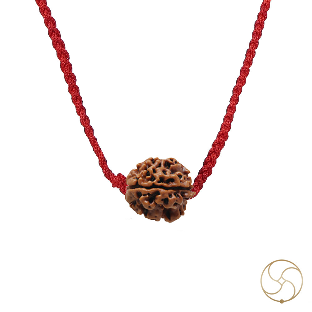 Natural 03 Face Rudraksha -  03  