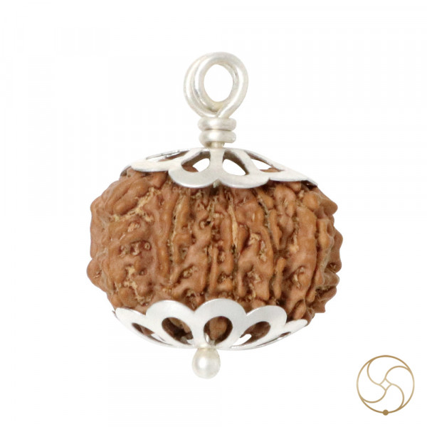 Image of Natural 13 Face Rudraksha