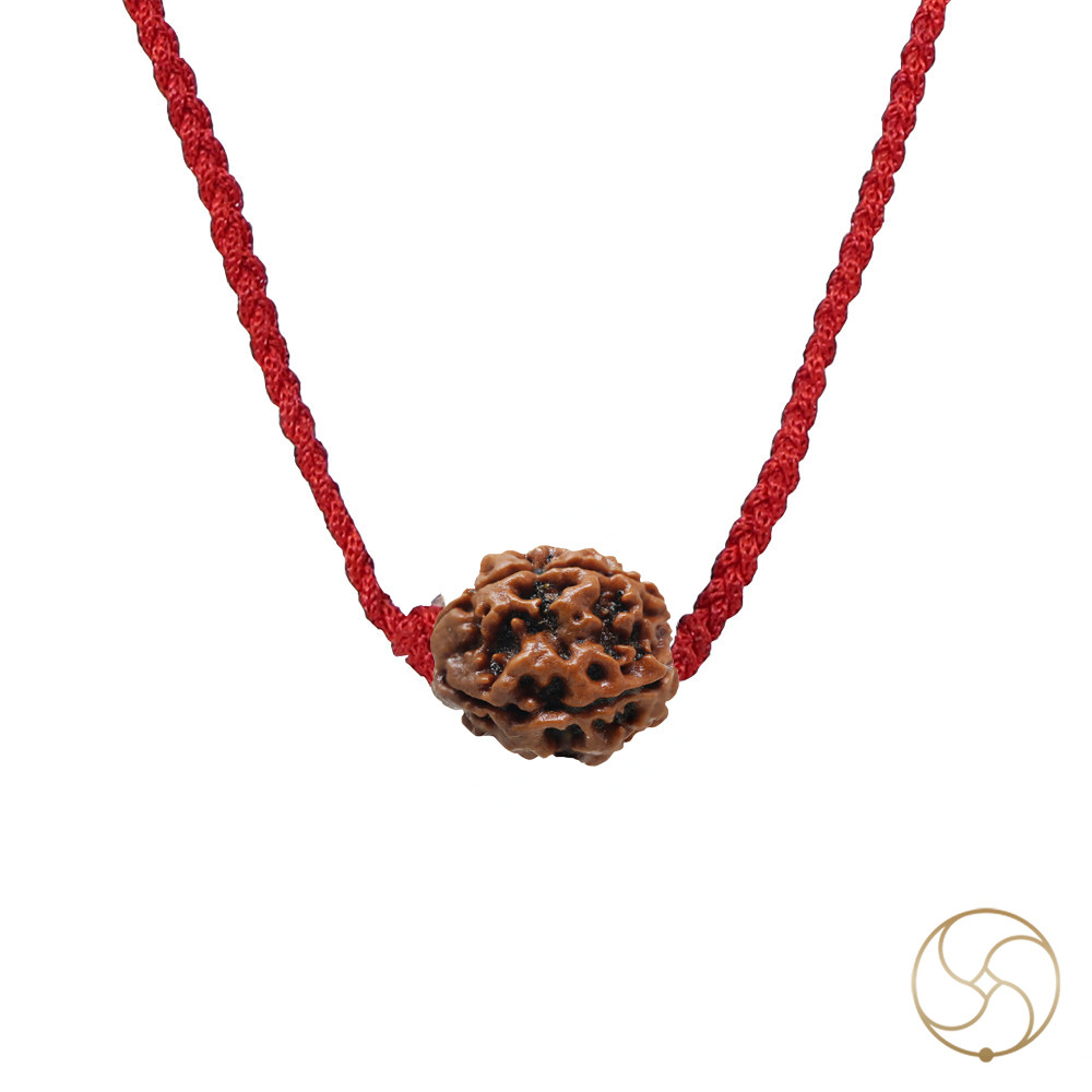Natural 04 Face Rudraksha -  04  