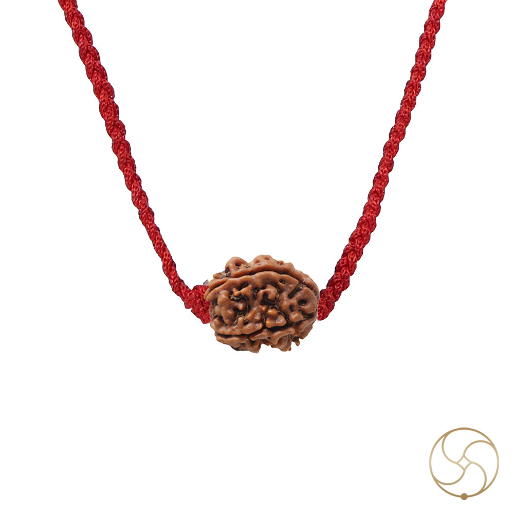 Natural 05 Face Rudraksha -  05  