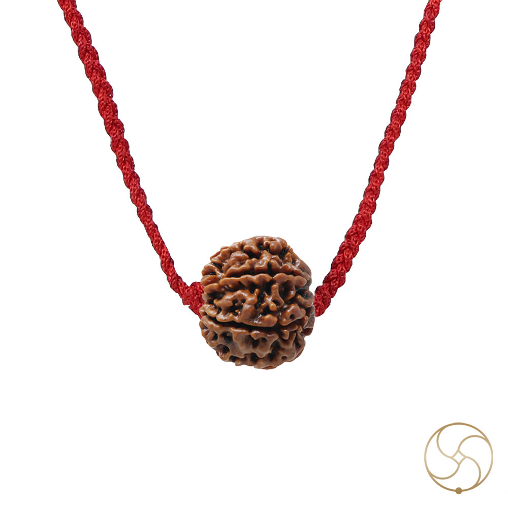 Natural 06 Face Rudraksha -  06  