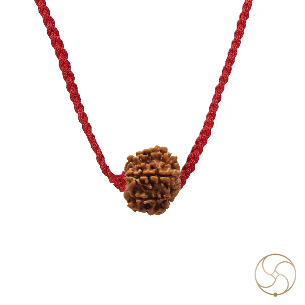 Natural 08 Face Rudraksha -  08  