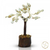 Small Gomti Chakra Shell Tree - छोटा गोमती चक्र वृक्ष
