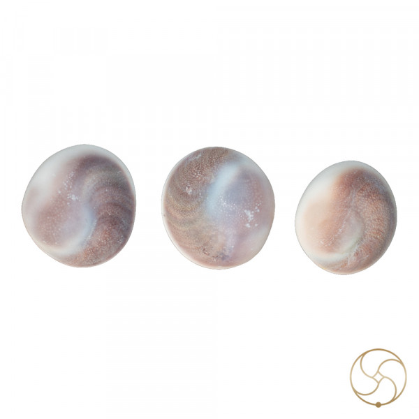 Image of Gomti Chakra Big Size – 3 PC SET गोमती चक्र – ३ नग