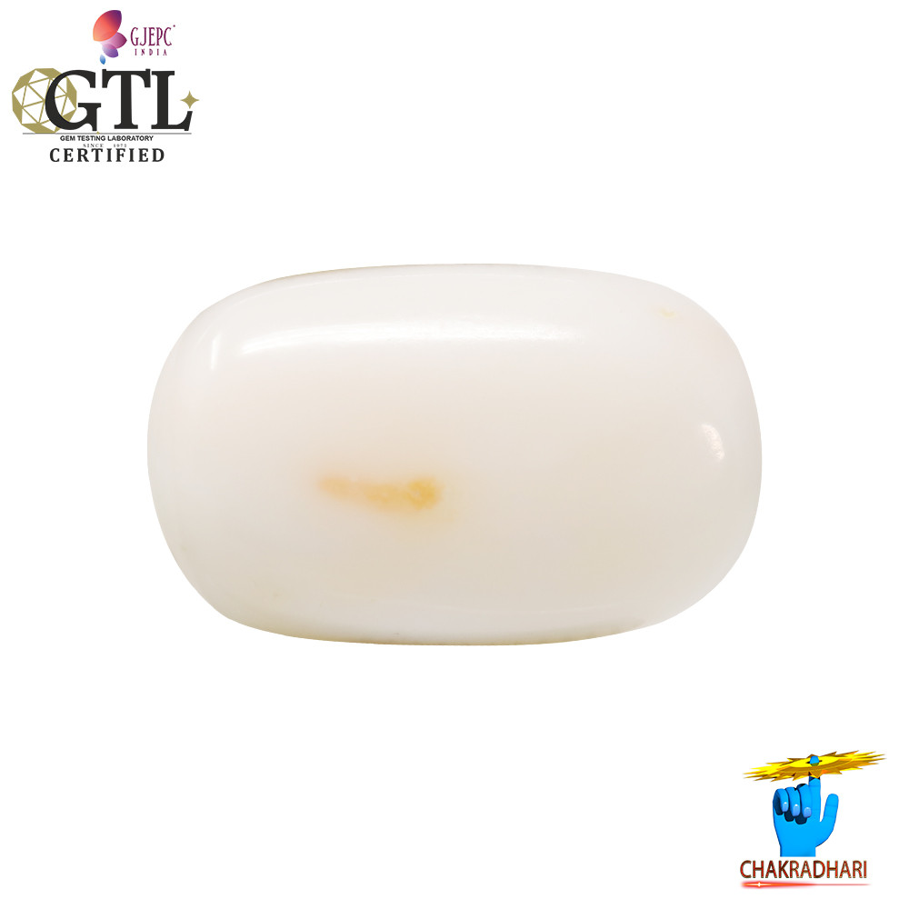 2090 Carats White Coral With Ring Or Pendant -   