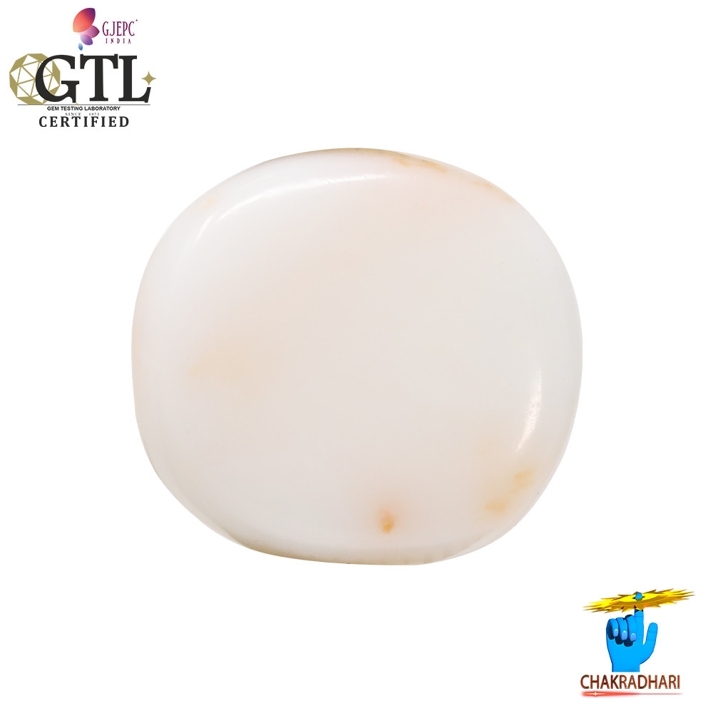 1685 Carats White Coral With Ring Or Pendant -   