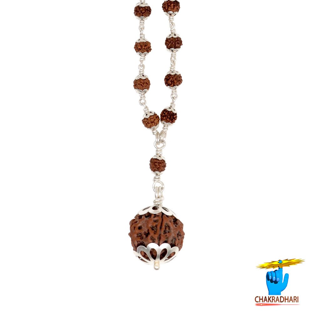 Rudraksha Mala In Silver Cap Wearing 541 beads 541
