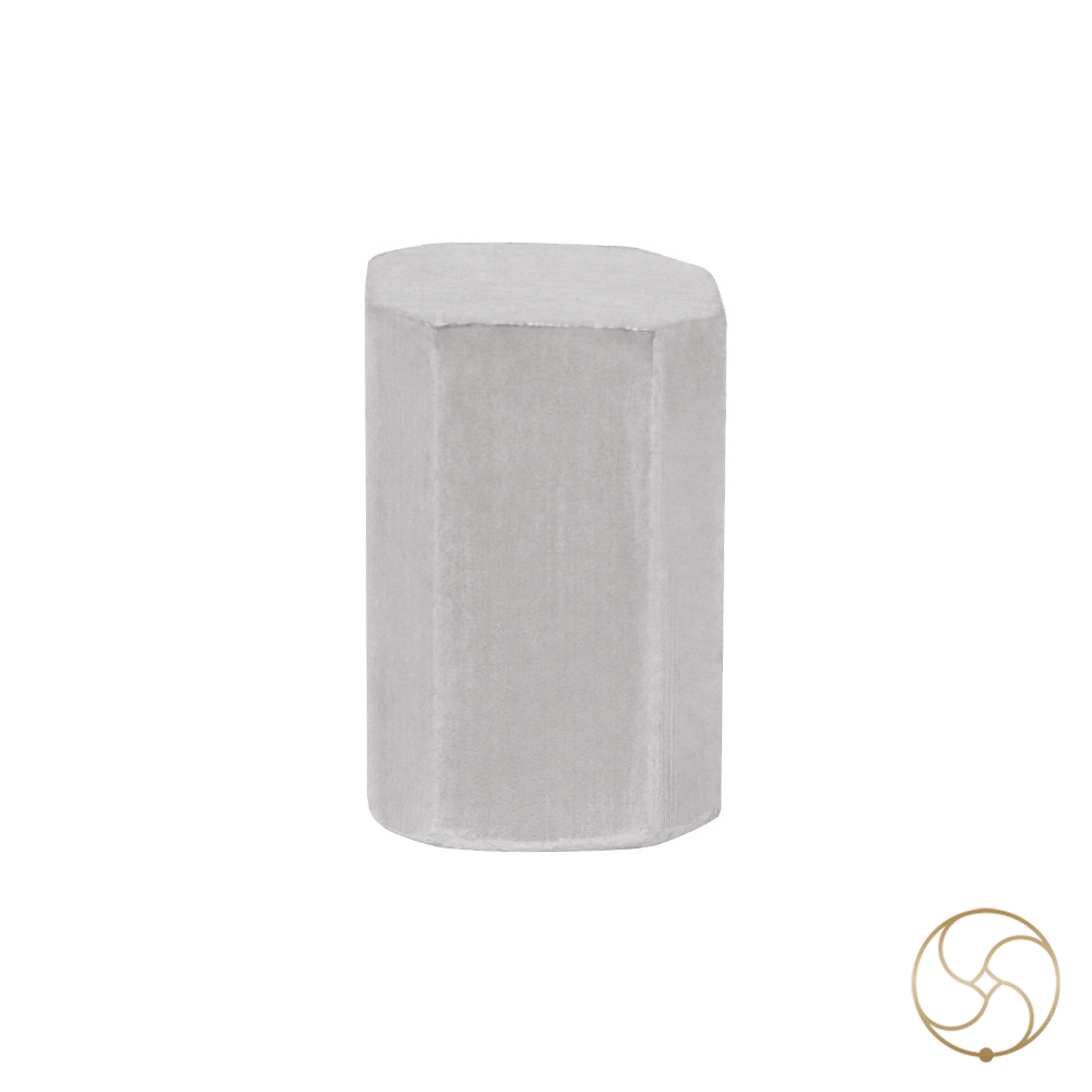 999 Silver AstroVastu  Bricks Set 100gm