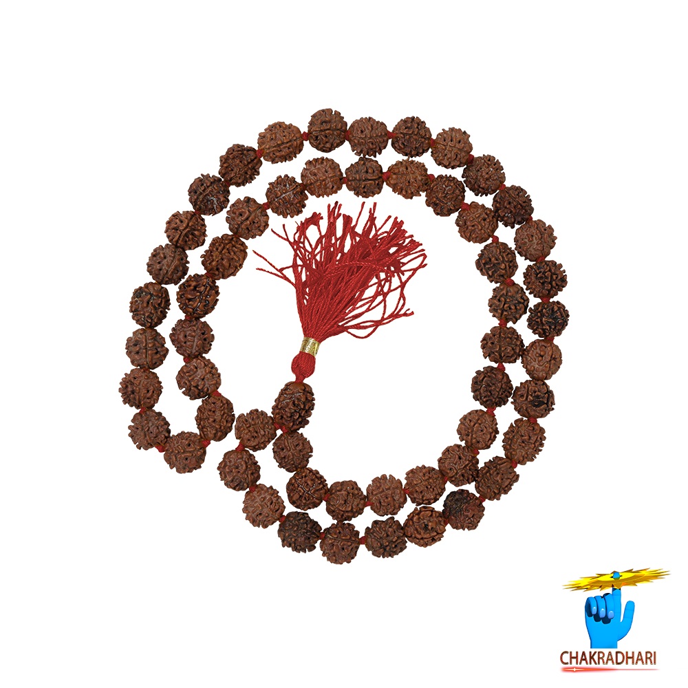 5 Mukhi Rudraksha Mala 54 Plus 1 Beads 11-12mm       - 