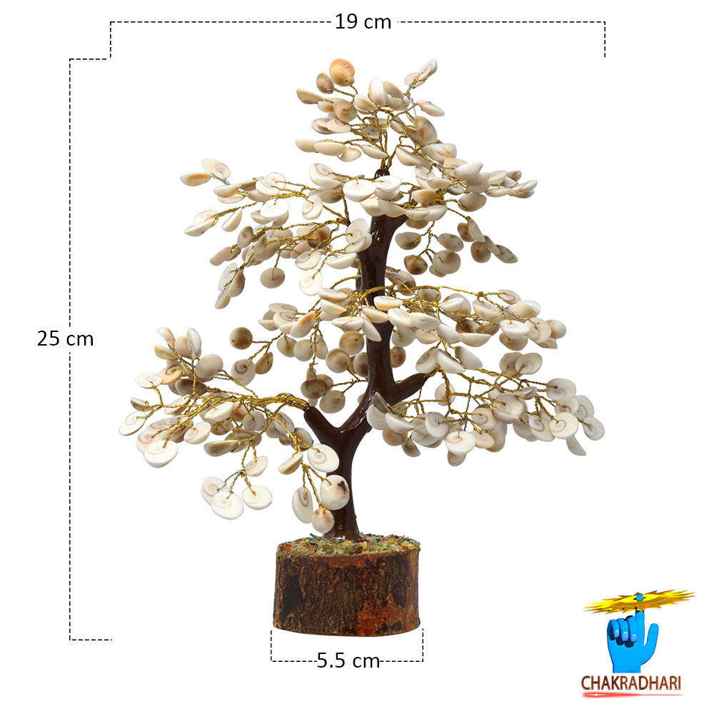 Gomti Chakra Conch Shell Tree -    