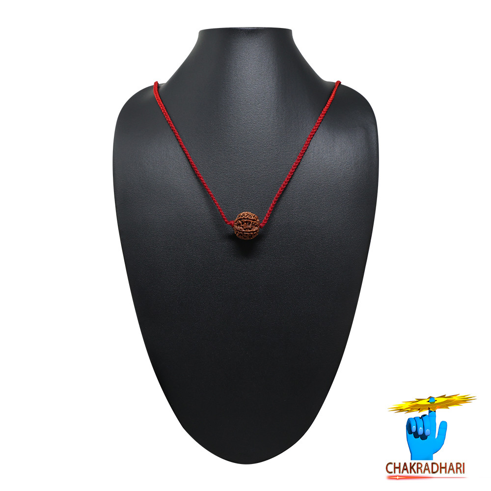 Natural 03 Face Rudraksha -  03  