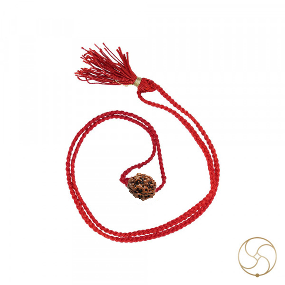 Natural 04 Face Rudraksha -  04  