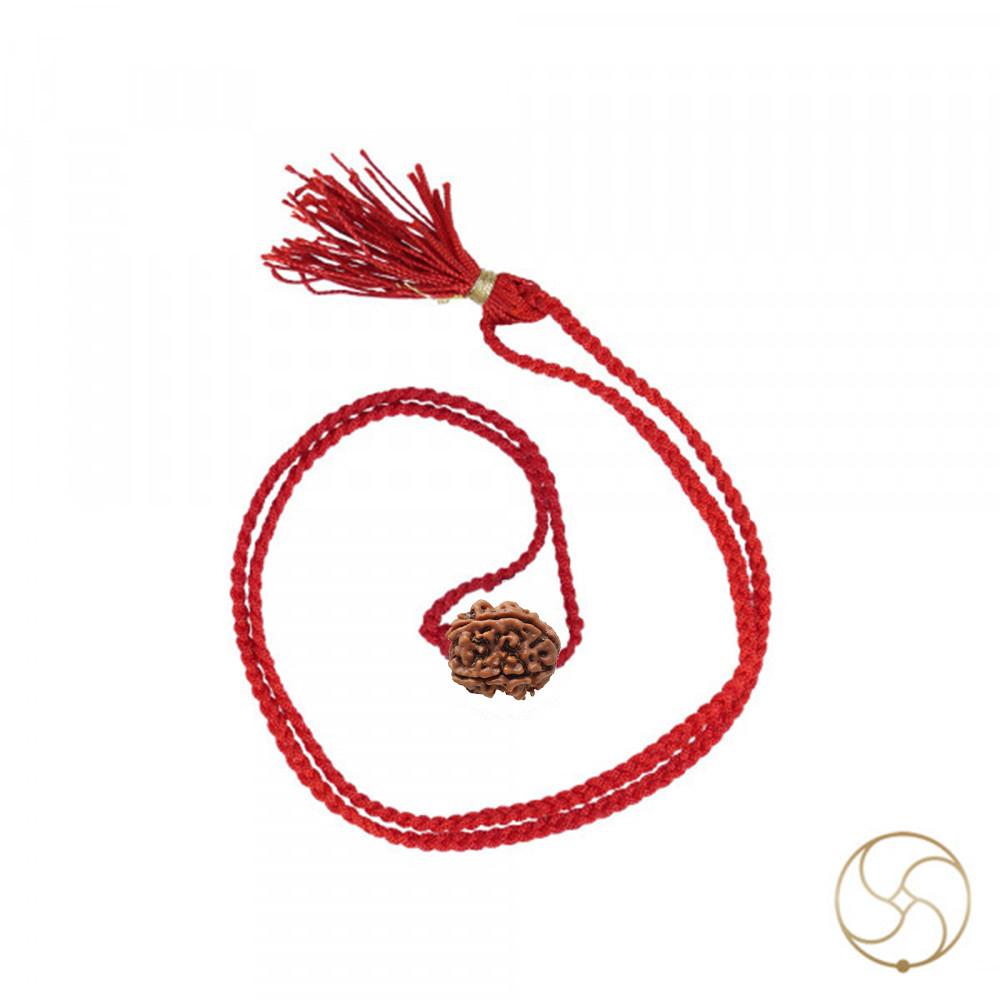 Natural 05 Face Rudraksha -  05  