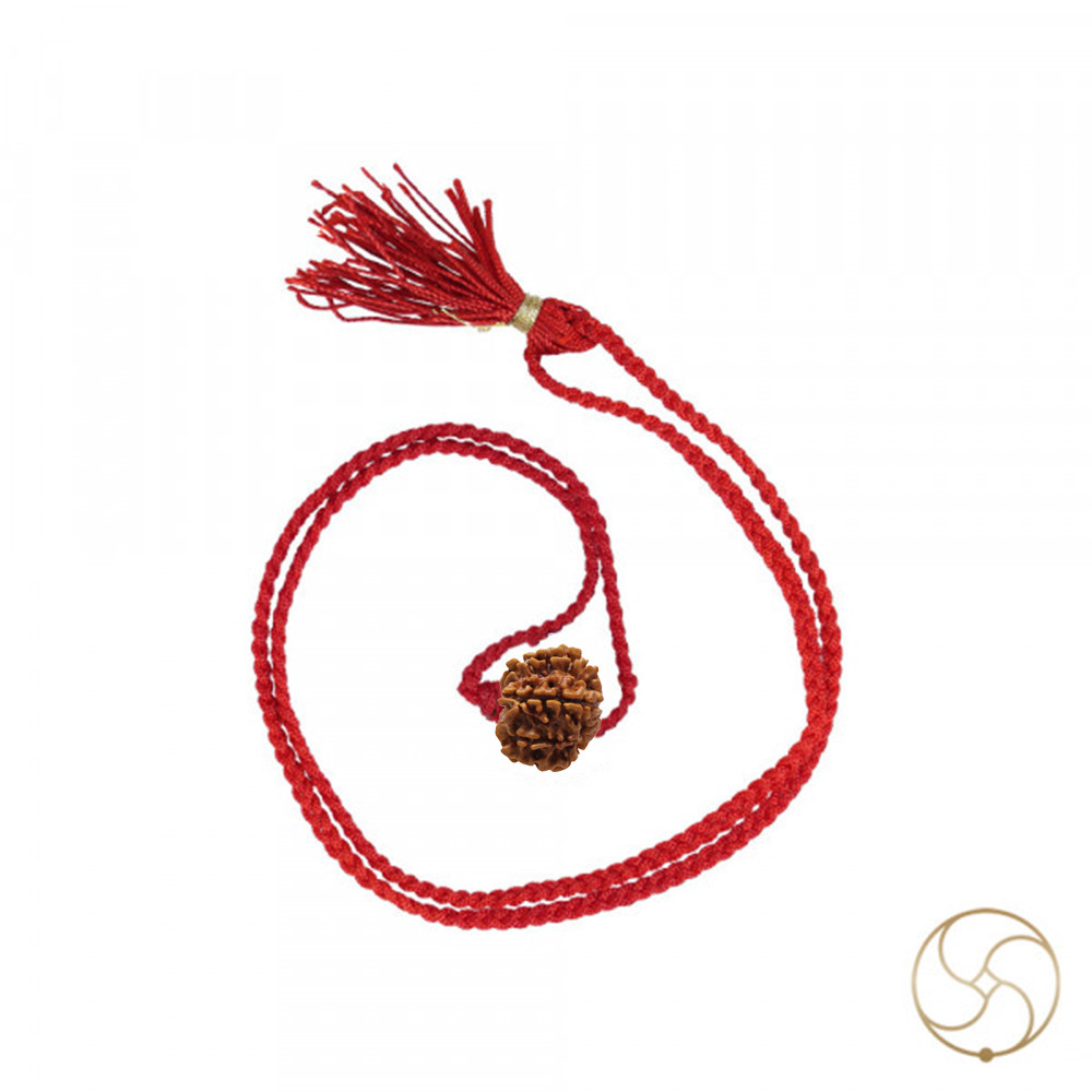 Natural 08 Face Rudraksha -  08  