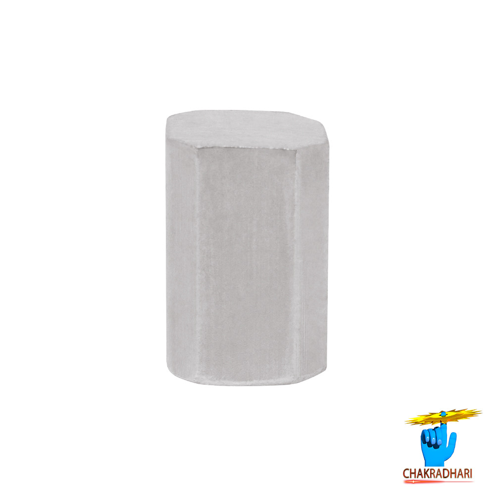 999 Silver AstroVastu Bricks Set 100gm