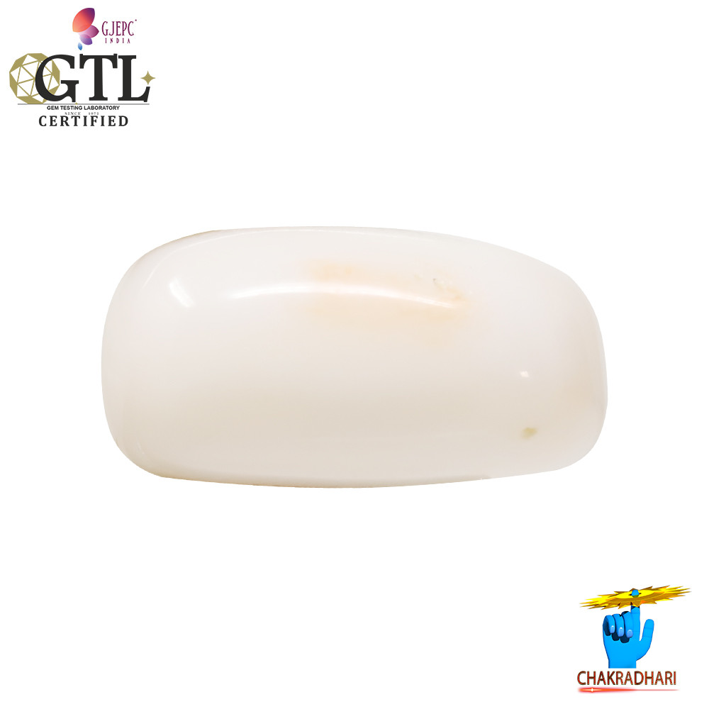 2090 Carats White Coral With Ring Or Pendant -   