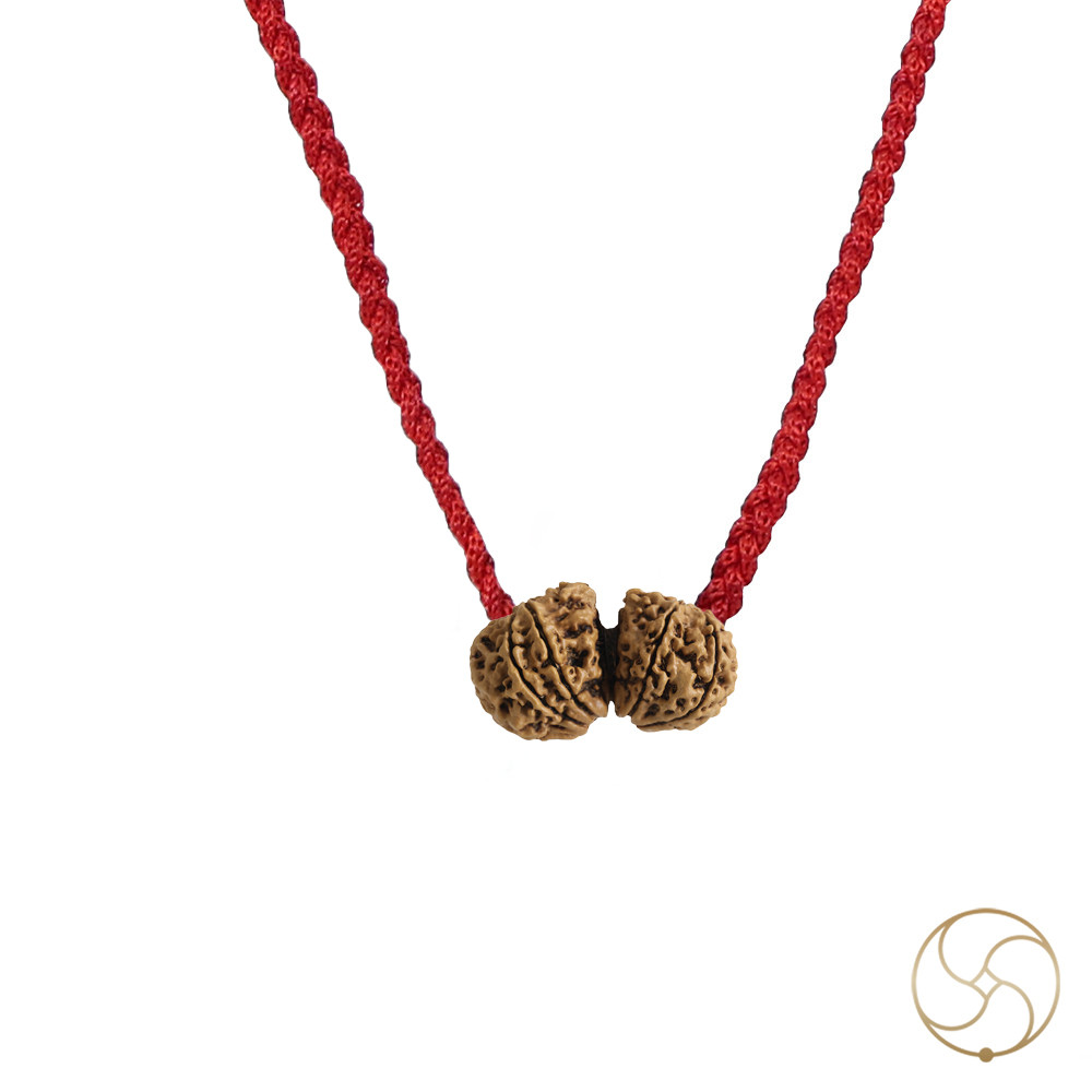 Natural Gauri Shankar Rudraksha -     