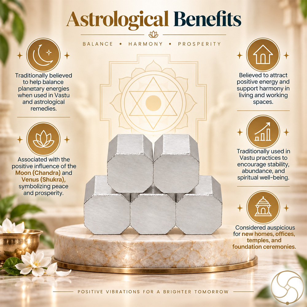 999 Silver AstroVastu Bricks Set