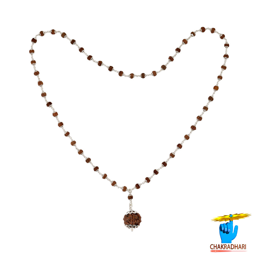 Rudraksha Mala In Silver Cap Wearing 541 beads 541