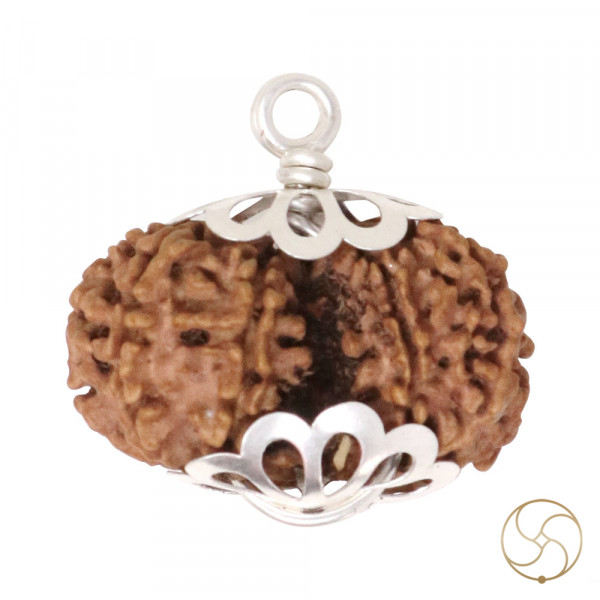 Image of Natural Gauri Shankar Rudraksha