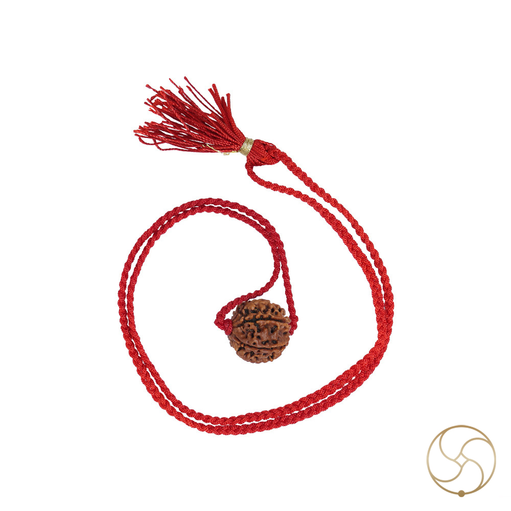 Natural Gauri Garbh Rudraksha -     