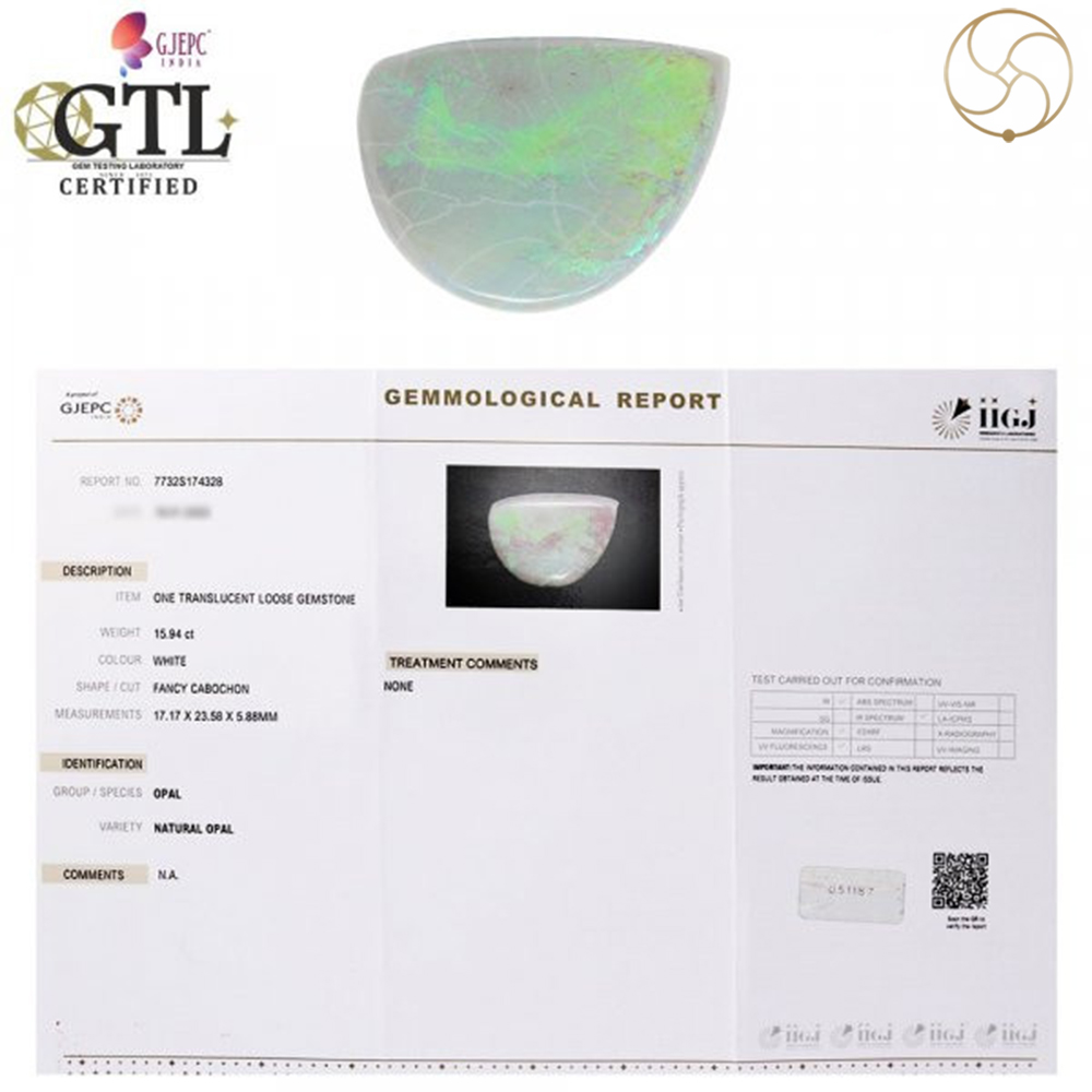 1594 Carat Opal Gemstone With Silver Ring and Pendant -  