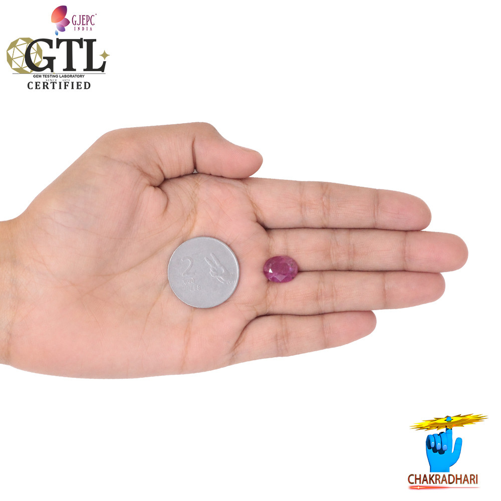 504 Carat Ruby Gemstone With Ring Or Pendant -  