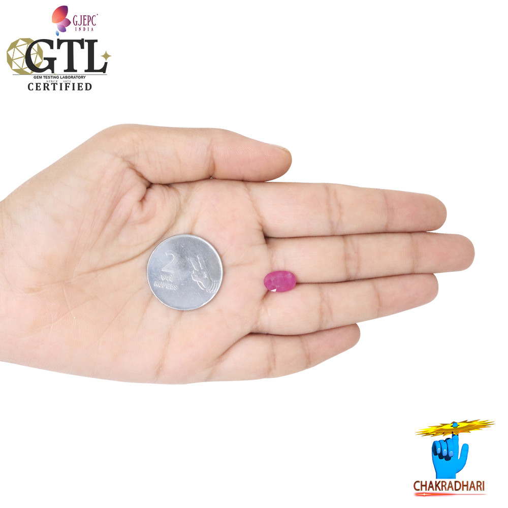 525 Carat Ruby Gemstone With Ring Or Pendant -  