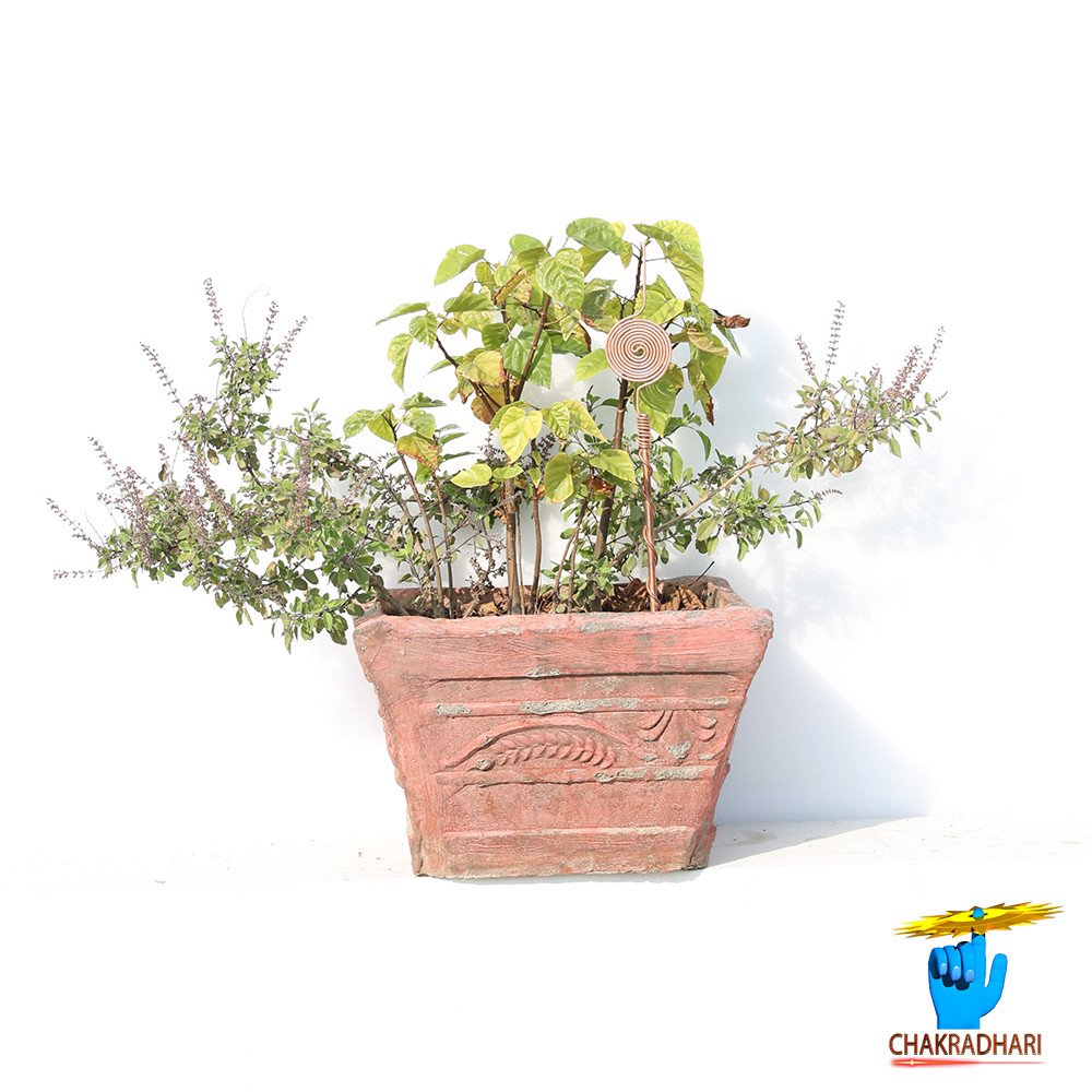 999 Nepaliya Copper Electro Culture Antenna -    