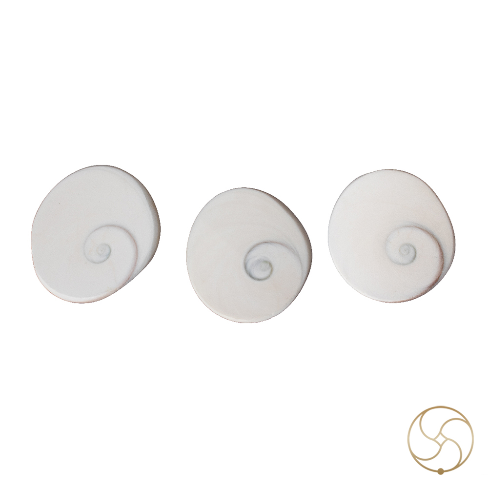 Gomti Chakra Big Size  3 PC SET     