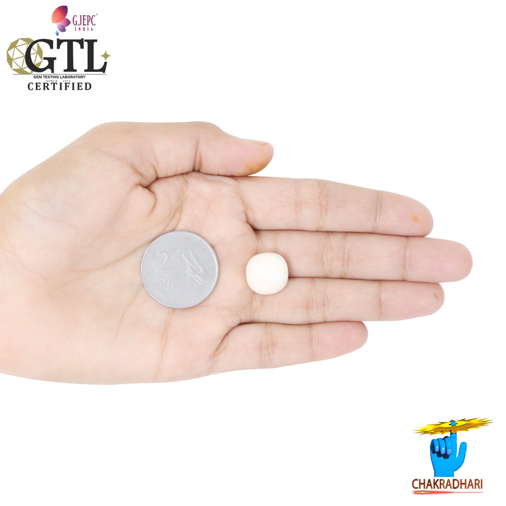 1651 Carats White Coral With Ring Or Pendant -   