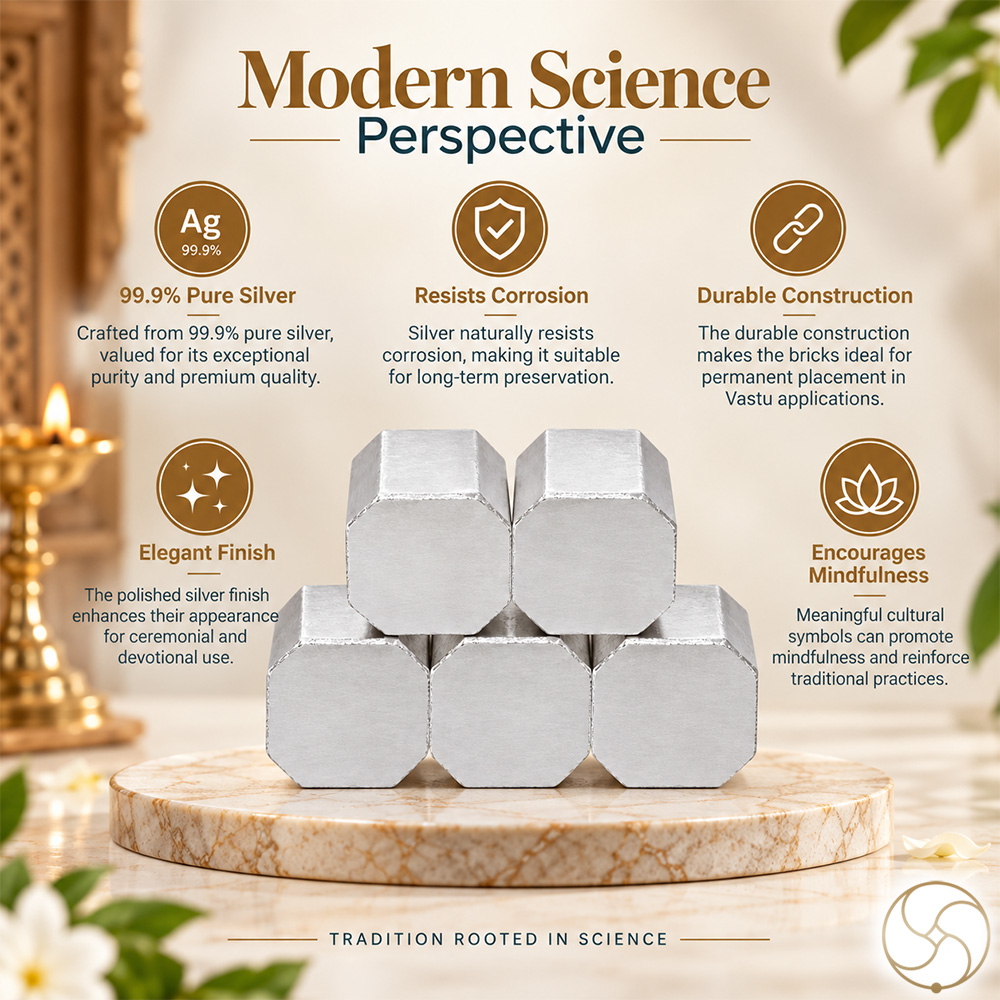 999 Silver AstroVastu Bricks Set