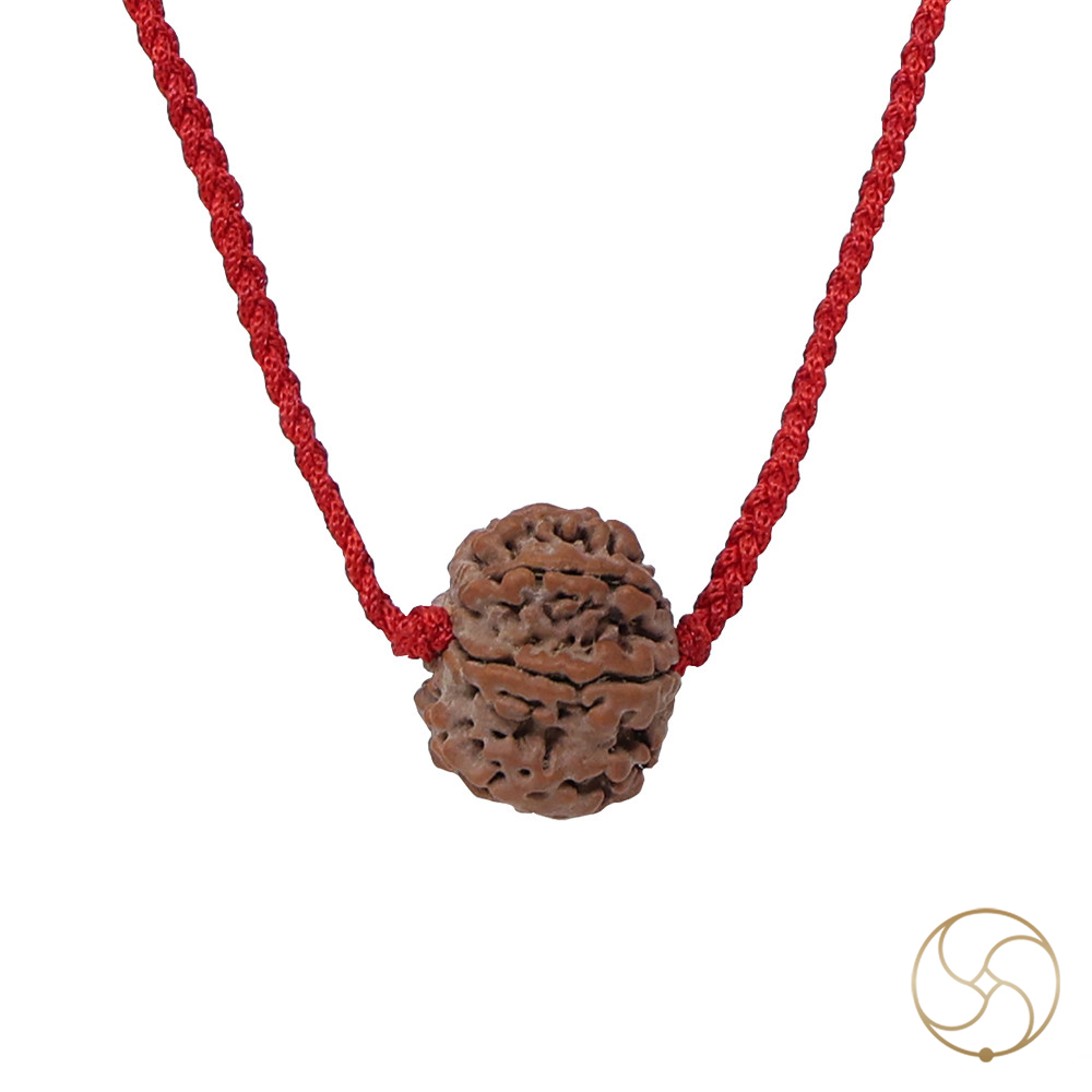 Natural Gauri Garbh Rudraksha -     
