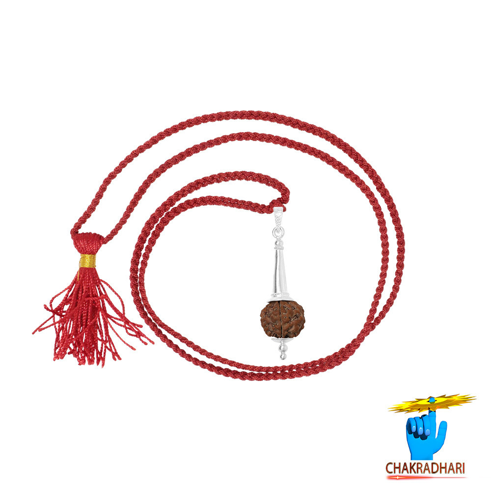 Natural 15 Face Rudraksha