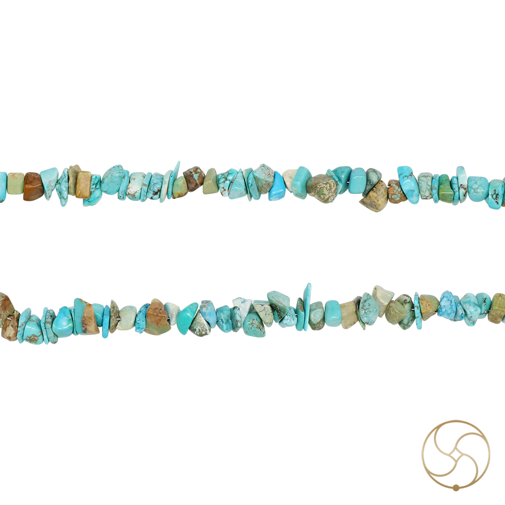 Firoza Chips Wearing Mala -