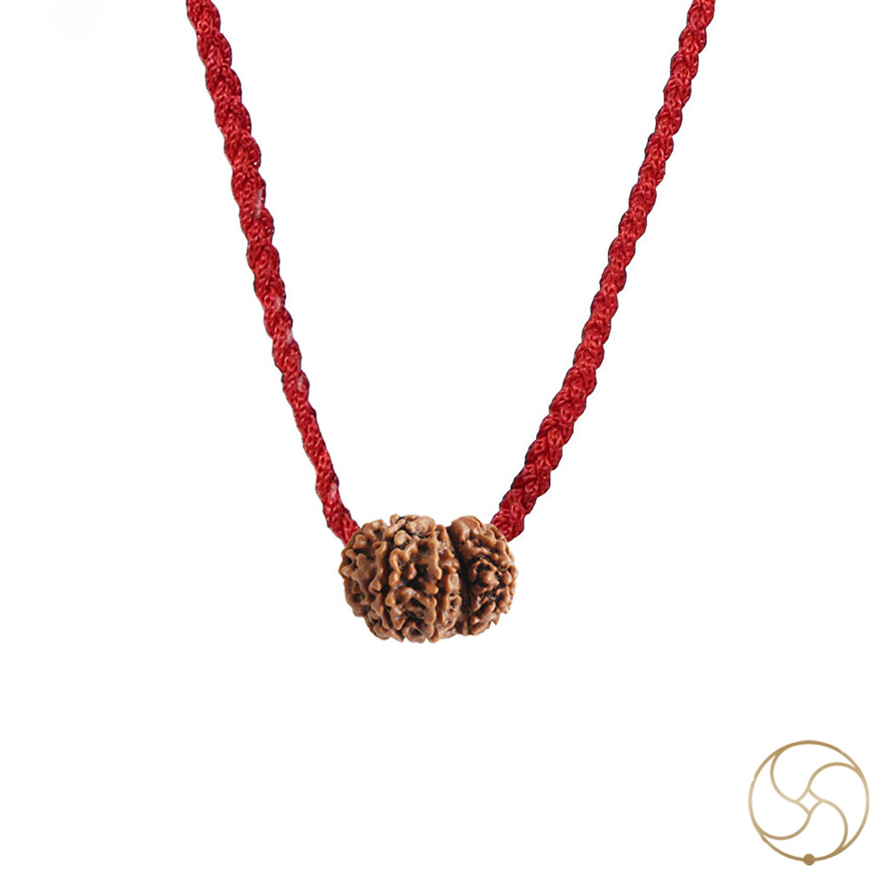 Natural Gauri Garbh Rudraksha -     