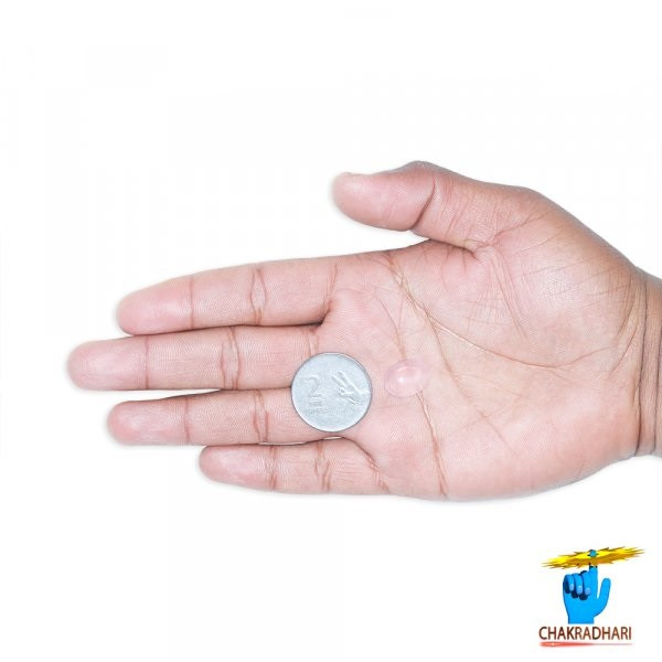 680 Carats to 1120 Carats Rose Quartz Cabochon Gemstone With Silver Ring Or Pendant -  