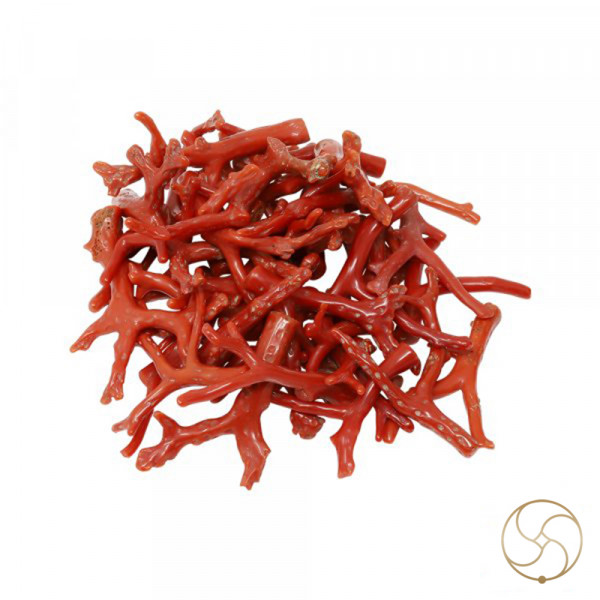 Image of Red Moonga Branches (15gm) - लाल मूंगा डाली (15gm)