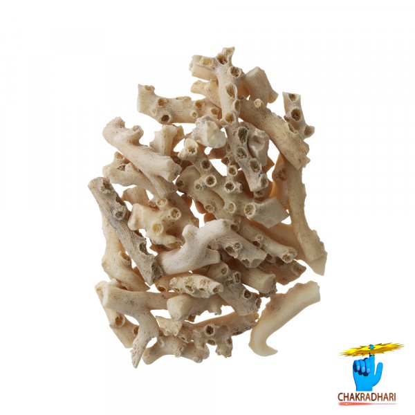 Image of White Moonga Branches (100gm) - सफ़ेद मूंगा डाली (100gm)