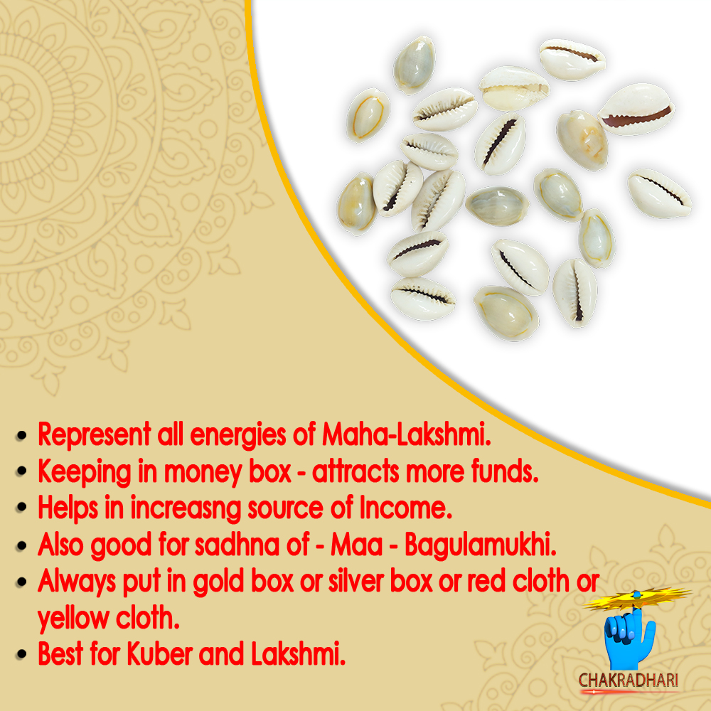 Yellow Lakshmi Koudi SET OF 21 SET OF 21