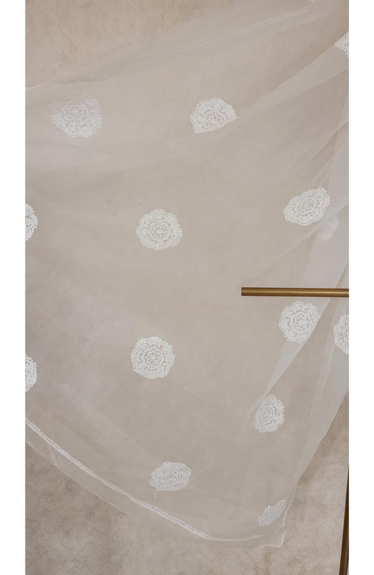 Off-white Organza Chikankari Dupatta