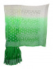Rohia by Chhangamal Hand Embroidered Green Faux Georgette Shaded Chikan Saree S9070