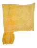 Rohia by Chhangamal Hand Embroidered Yellow Faux Georgette Chikan Saree S9071