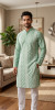 Light Green  Cotton Chikankari Kurta