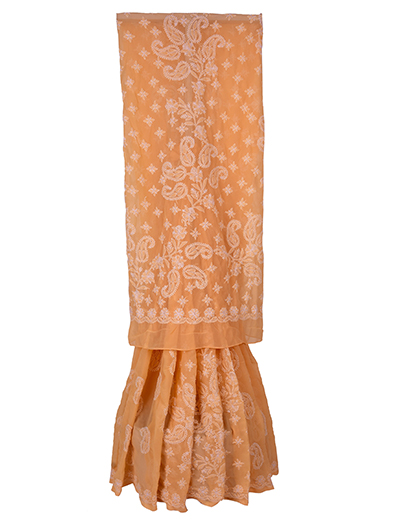 Chhangamal Hand Embroidered Brown Faux Georgette Chikan Saree.