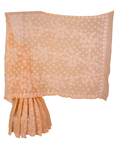 Chhangamal Hand Embroidered Brown Faux Georgette Chikan Saree.
